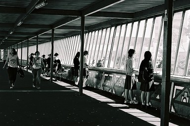 Ellenette Nusbaum; Noon. On K'rd Bridge; This is part of a series of images I took during a walk through Auckland City at lunch time