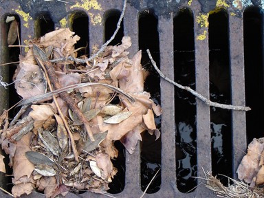 Annie Irving; Inner City Bars; Just a drain but loved the colours in the lichen and the deep reflections in the water below