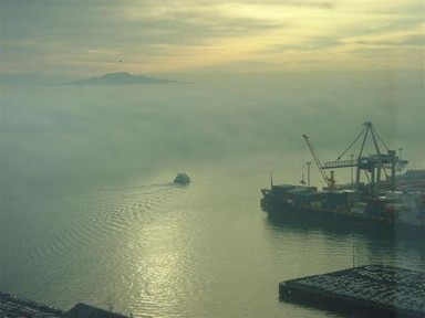 Gael Orr; Early morning fog on the harbour; From my office window