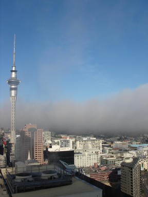 Gael Orr; Early morning fog; From my office window