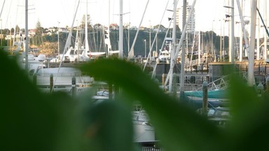 Louise Cameron; Viaduct Marina; Looking to the boats berthed in the Viaduct Marina