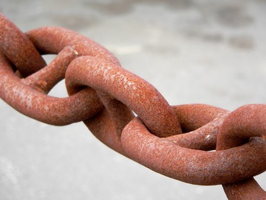 Tomislav; Chain; Chain taken in Port Auckland opposit of Fish Market