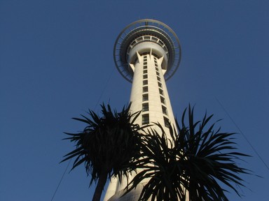 Shelley Soppet; Sky City Tower; The Heart of the City