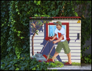 Janice Dunn; Time to mow the ivy; Just think, this is within 200 metres of Queen Street