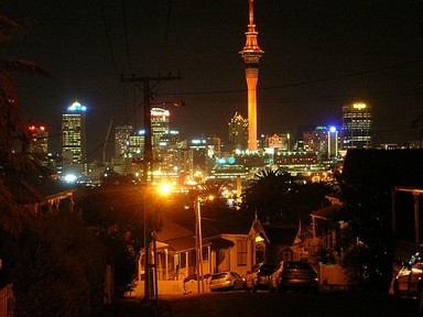 Leanne Nelson; skytower 23 2 07; gorgeous array of nightlights