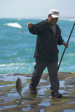 John Ling; Catch of the day