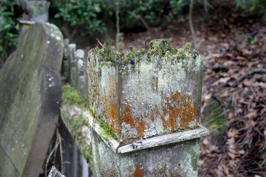 Sandrina Huish; Grafton Cemetery in May; A quiet walk in NZ history lost and forgotten