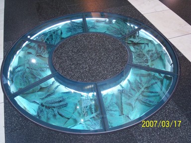Svetlana; The glass floor; I jumped when I walked across the floor in SkyCity lounge, I thought I stepped into the pool !