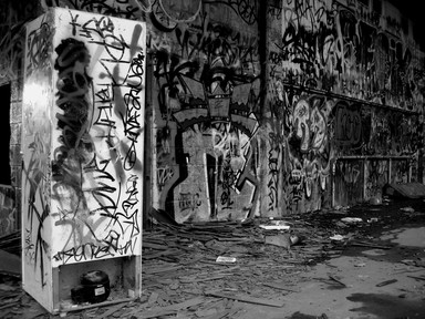 Martin Horspool; Art or Vandalism ?; Beer Fridge Behind Carlaw Park