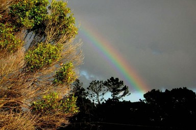 Leanne Nelson;RAINBOW