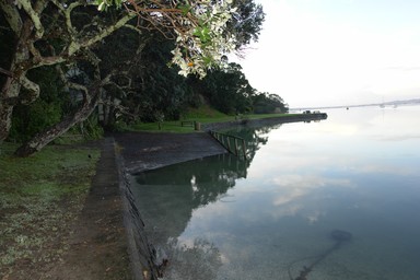 Sam Mence; Glass Floor; Photo taken at the beach by beachhaven wharf