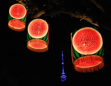 Graeme Reeves; Lantern Festival   spectatular content; Taken March 2005