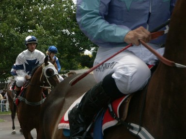 Zelda Wynn; Avondale Races; Off to the start at Avondale.