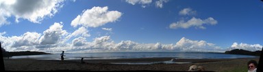 Michael bajko; cornwallis beach, manukau harbour