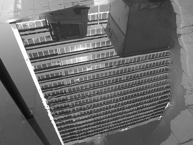  taken on a NZFM walk in the city