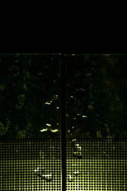 Stuart Broughton; Monolithic Love