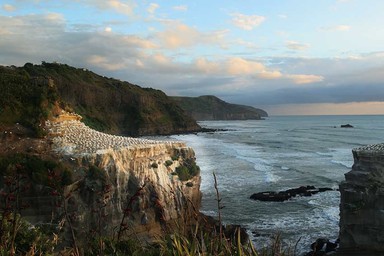 Brian Livingstone; Muriwai