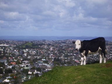 France Gipsy; On The Edge: Mount Eden