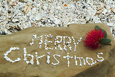 John Ling; Merry Xmas in Blockhouse Bay beachJust saw a Japanese tour_Yoshi make up a shell words' Happy Xmas'. We rearrange to 'Merry Xmas' later in Wattle Bay on Xmas day;
