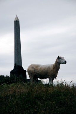 Steve Harper; Good morning Auckland