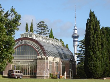 Sam Cotton; Winter Garden; At Musuem Domain