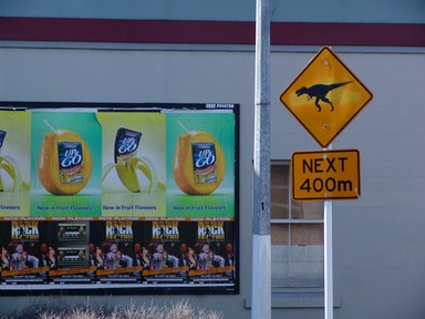 Kathrin Simon; In one of Auckland's streets...; This sign scared/amused Grey Lynner's for a couple of month before it was replaced