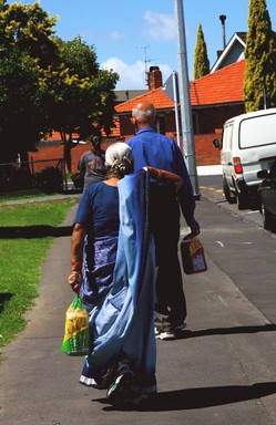  True kiwis