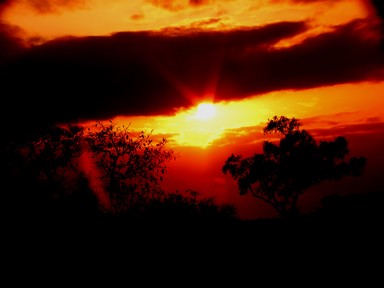 Colin Meaden; Titirangi Sunset