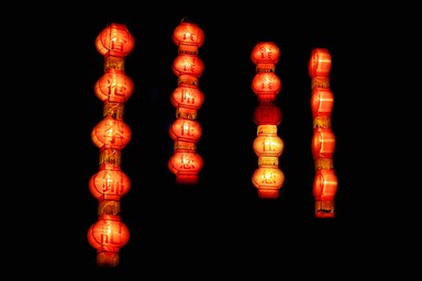  Taken at Lantern Festival at Albert Park, Auckland, 2008