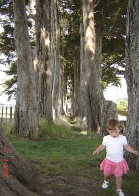 Matt Moule; Walking through the trees at Totara Park