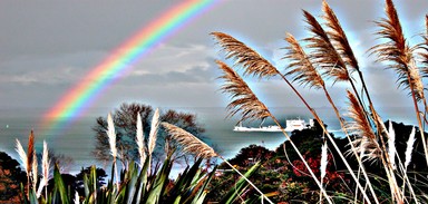 Christine Blaikie; Coastal Trader; On the Manukau