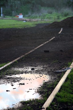 Stephen Lasham; Onehunga Line