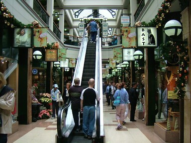 Liao yuan (Sandy); Kiwi Shopping