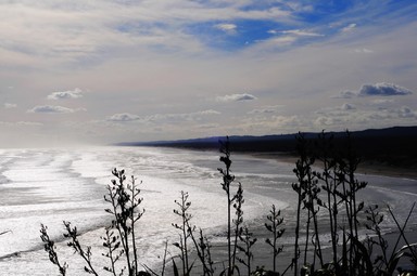 Frank Wan; Spirit of New Zealand; Taken at Muriwai Beach