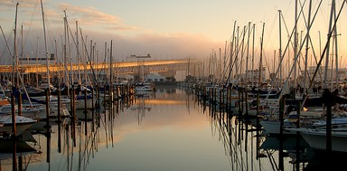 Felim M; Foggy Harbour