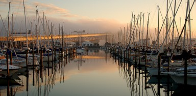  Foggy Harbour