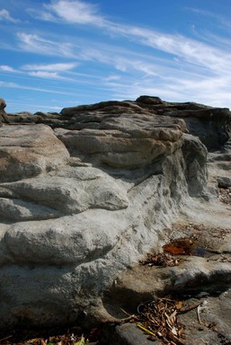 Mohd Azri Mohd Adnan; St. Heliers Bay; This Photo was taken at St. Heliers Bay