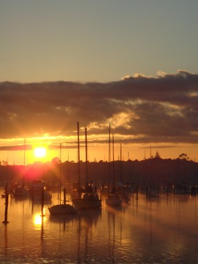 Edwin miller; Tamaki  Estuary Sunrise; 16th May2008 taken before the fog setin