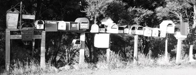 Toni Tanner; Letter Box Lane