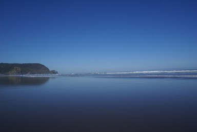 Zoe Fidler; Piha in all its glory