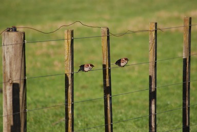 Paras Kumar; why cold shoulder; taken by me near Auckland Airport