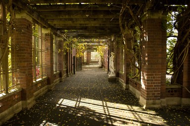 Roy Fernley; Autumnal Passage