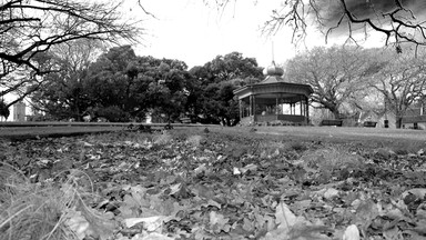 Tineke van der Walle; Albert Park in Winter