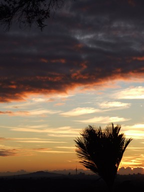 Grant Hale; Auckland at dawn