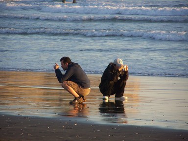 Kathy Sorenson; Different Perspectives; Murawai Beach