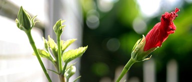  taken at my house in Green Bay