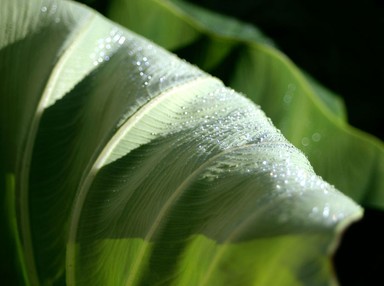 Ken ogiyama; In the morning; taken at my house in Green Bay