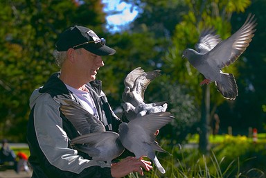  It was taken in Auckland Domain this month