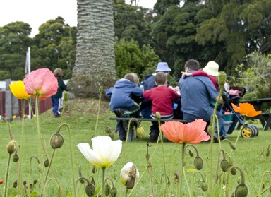 Kitty Jonker;Spring has Sprung Picnic; This was taken at the zoo on 5 October 2008.