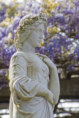 Shot for a week at the Wintergardens Auckland waiting for the wisteria to blossom